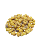 ذرة محمصة