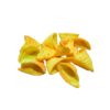 شراع