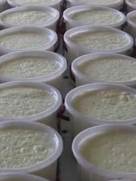 سطل لبنة صغير