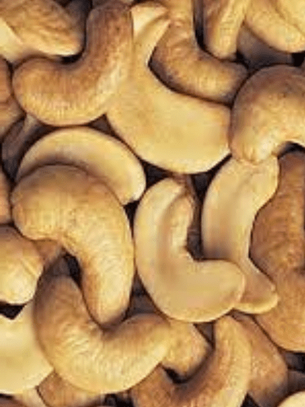 عوجا ني