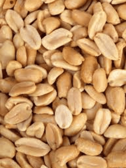 فستق عبيد ني